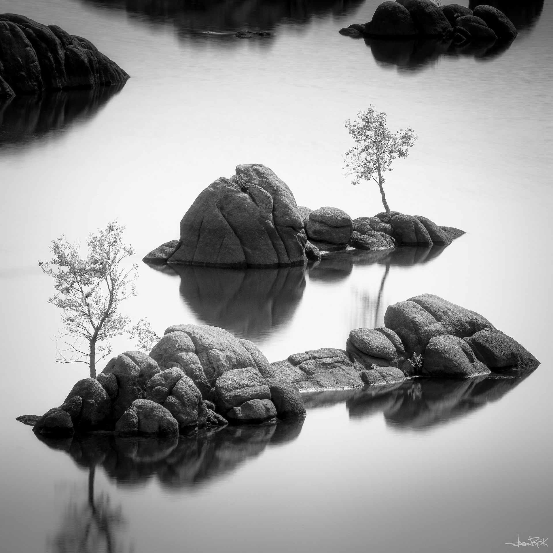 Two Aspen on Watson Lake